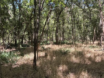 Property photo 2 at Lot 677 Kaukonahua LN - Tahitian Village,, Bastrop, TX