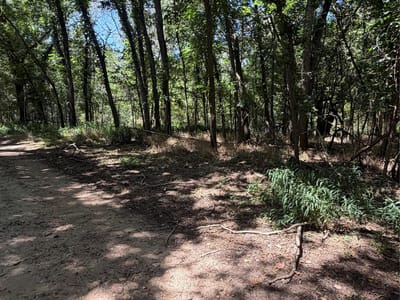 Property photo 3 at Lot 677 Kaukonahua LN - Tahitian Village,, Bastrop, TX