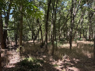 Property photo 4 at Lot 677 Kaukonahua LN - Tahitian Village,, Bastrop, TX