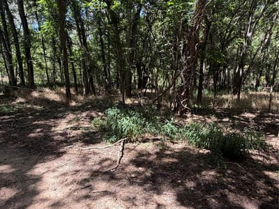 Property photo 5 at Lot 677 Kaukonahua LN - Tahitian Village,, Bastrop, TX