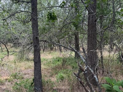 Primary bedroom at Lot 686 Kawainui Ln - Tahitian Village, Bastrop, TX