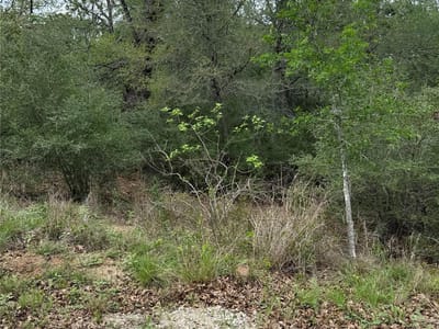 Primary bedroom at lot 69 Kaelepulu Dr - Tahitian Village, Bastrop, TX