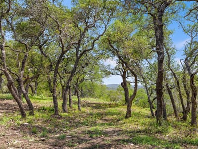 Bathroom at Lot 7 Pedernales Canyon TRL Unit #Lot 7 - Edward Gritten, Spicewood, TX