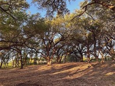 Property photo 4 at Lot 7 Rifle Ridge - The Ranches at Rifle Ridge, Burnet, TX