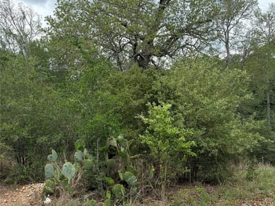 Living area at lot 70 Kaelepulu Dr - Tahitian Village, Bastrop, TX