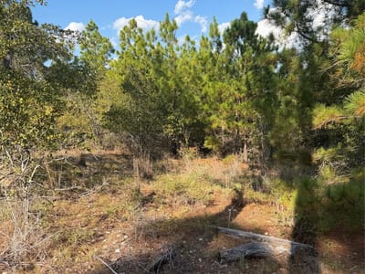 Photo 3 of 6 at Lot 702 Oahu CT - Bastrop, Bastrop, TX
