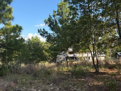 Photo 4 of 6 at Lot 702 Oahu CT - Bastrop, Bastrop, TX