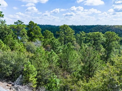 Primary bedroom at Lot 707 E Waimea Ct - Tahitian Village Unit 1, Bastrop, TX