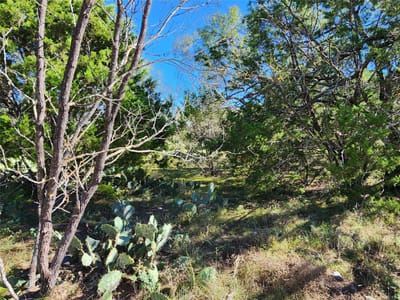 Living area at Lot 73 Shin Oak Dr - Cross Timber Ranch, Lampasas, TX