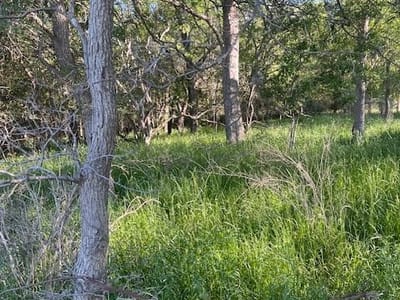 Property photo 3 at Lot 768 Kaukonahua LN - Tahitian Village,, Bastrop, TX