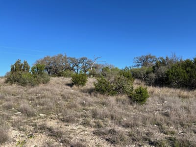 Primary bedroom at Lot 78 Bluff View Rd - River Hills Ranches Ph 1, Kempner, TX
