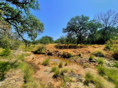 Property photo 2 at Lot 8 Legacy Ridge - Legacy Oaks, Burnet, TX