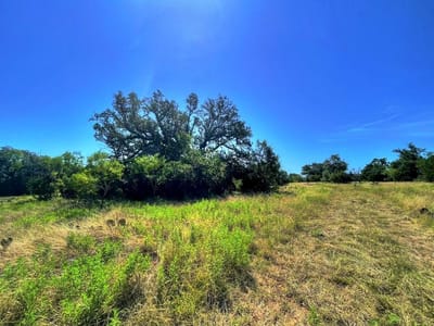 Property photo 4 at Lot 8 Legacy Ridge - Legacy Oaks, Burnet, TX