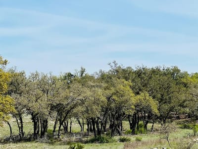Property photo 3 at Lot 8 W Flying Owl DR - Legacy Hills, Johnson City, TX