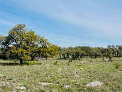 Property photo 4 at Lot 8 W Flying Owl DR - Legacy Hills, Johnson City, TX