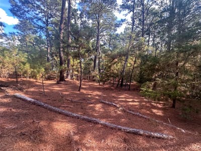 Primary bedroom at Lot 84 Hill Ridge DR - Lake Bastrop Pines, Bastrop, TX
