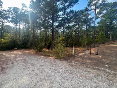 Bathroom at Lot 84 Hill Ridge DR - Lake Bastrop Pines, Bastrop, TX