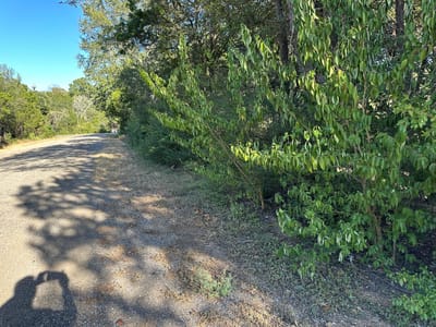Property photo 2 at LOT 9 Robin RUN - Camp Swift Cabins, Bastrop, TX