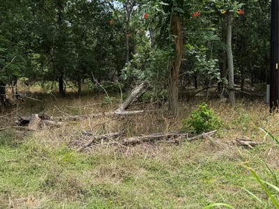 Living area at Lot 904 Kahana Ln - Tahitian Village,, Bastrop, TX