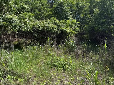 Primary bedroom at Lot 959 Riverside Dr - Tahitian Village, Bastrop, TX
