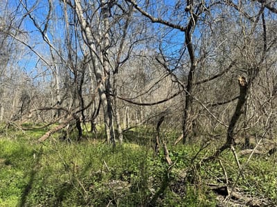 Primary bedroom at Lot 961 Riverside Dr - Tahitian Village,, Bastrop, TX
