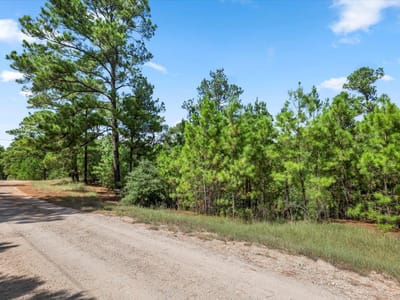 Property photo 3 at Lot 986 Kailua L LN - Tahitian Village,, Bastrop, TX