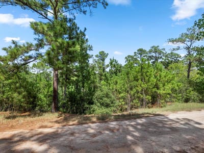 Property photo 5 at Lot 986 Kailua L LN - Tahitian Village,, Bastrop, TX