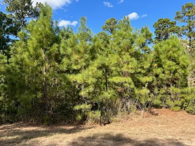 Living area at Lot 986 Kailua L Ln - Tahitian Village, Bastrop, TX