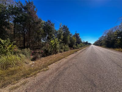 Primary bedroom at Lot 9D Foothill RD - Lake Bastrop Estates, Bastrop, TX