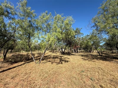 Property photo 2 at Lot #496 Driftwood LN Unit #496 - Yellowstone, Cottonwood Shores, TX