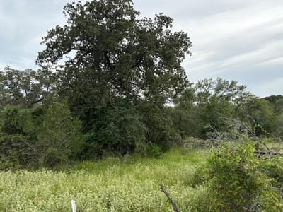 Property photo 4 at Lot #1 Willis Ln Unit #1 - Mayweather Investments,  LLC, Smithville, TX