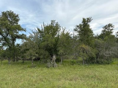 Property photo 5 at Lot #1 Willis Ln Unit #1 - Mayweather Investments,  LLC, Smithville, TX