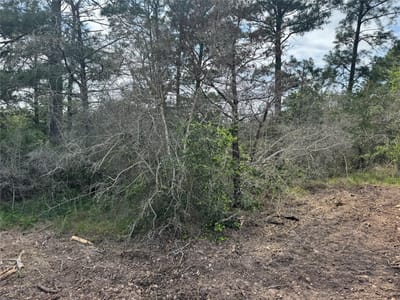 Primary bedroom at Lots 1263, 1264, 1265 Hanauma Dr - Tahitian Village,, Bastrop, TX