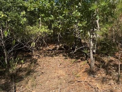 Property photo 3 at Lots 1338 and 1339 Tahitian DR - Tahitian Village, Bastrop, TX