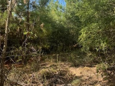 Property photo 4 at Lots 1338 and 1339 Tahitian DR - Tahitian Village, Bastrop, TX