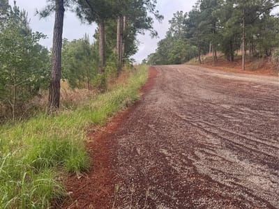Property photo 2 at Lots 1490, 1491, 1492 Haleakala - Tahitian Village,, Bastrop, TX