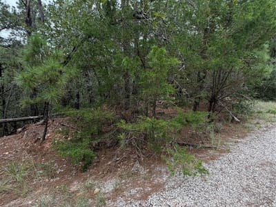 Property photo 2 at Lots 216 and 217 Hekili DR - Tahitian Village,, Bastrop, TX