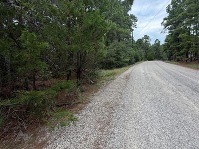 Property photo 3 at Lots 216 and 217 Hekili DR - Tahitian Village,, Bastrop, TX