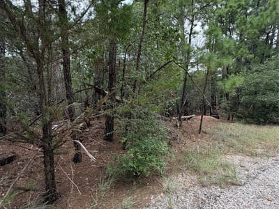 Property photo 4 at Lots 216 and 217 Hekili DR - Tahitian Village,, Bastrop, TX