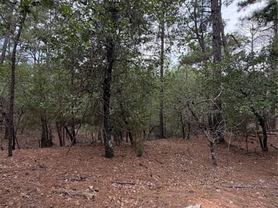 Property photo 5 at Lots 216 and 217 Hekili DR - Tahitian Village,, Bastrop, TX