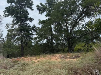 Property photo 2 at Lots 236 and 237 Kaelepulu LN - Tahitian Village,, Bastrop, TX
