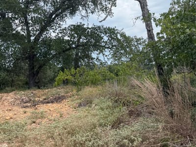 Property photo 3 at Lots 236 and 237 Kaelepulu LN - Tahitian Village,, Bastrop, TX