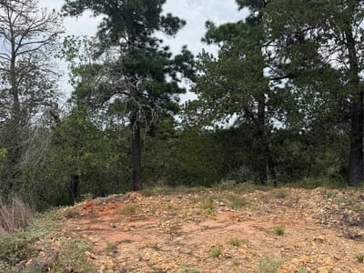 Property photo 4 at Lots 236 and 237 Kaelepulu LN - Tahitian Village,, Bastrop, TX