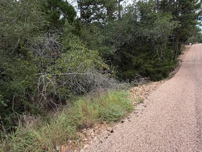 Property photo 2 at Lots  407 and 408 Molokini DR - Tahitian Village,, Bastrop, TX