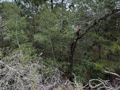 Property photo 4 at Lots  407 and 408 Molokini DR - Tahitian Village,, Bastrop, TX