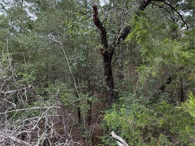 Property photo 5 at Lots  407 and 408 Molokini DR - Tahitian Village,, Bastrop, TX