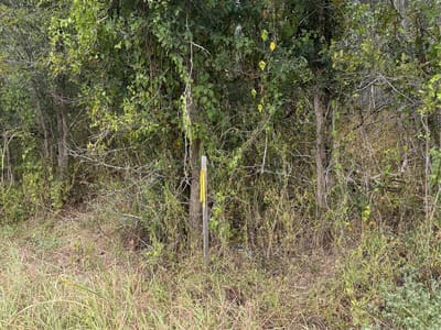 Property photo 2 at Lots 451, 452, 453 Heleakala DR - Tahitian Village,, Bastrop, TX