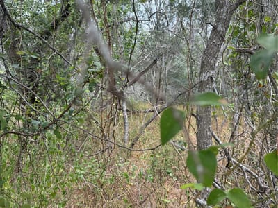 Property photo 4 at Lots 451, 452, 453 Heleakala DR - Tahitian Village,, Bastrop, TX