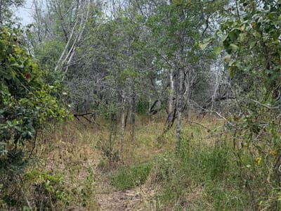Property photo 5 at Lots 451, 452, 453 Heleakala DR - Tahitian Village,, Bastrop, TX