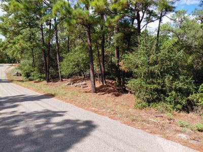 Photo 2 - Lot 6 & 7 Wahane LN Photo 2 of 28 at Lot 6 & 7 Wahane LN - Bastrop, Bastrop, TX